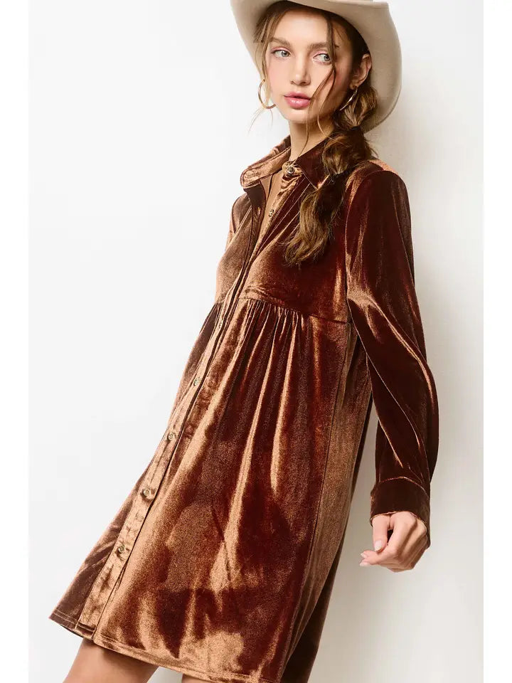 Peyton Velvet Button Down Dress in Brown