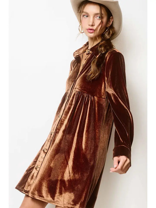 Peyton Velvet Button Down Dress in Brown